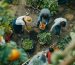 Comunidad de propietarios trabajando los huertos